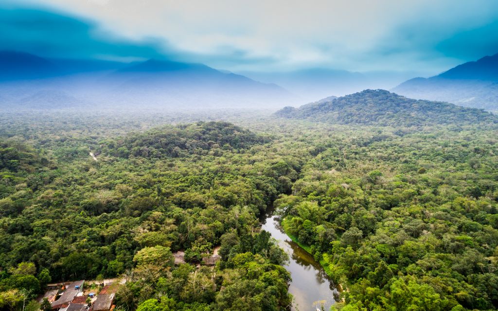 Aventura en la Selva Ecuatoriana: Las Mejores Motos para Exploración 🚀